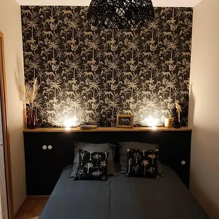 Superbe T2 Neuf Dans Maison De Maitre Hyper Centre Épinal Buitenkant foto