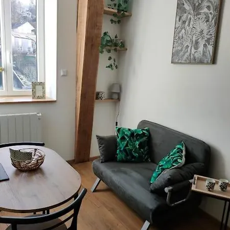 Superbe T2 Neuf Dans Maison De Maitre Hyper Centre Épinal Buitenkant foto